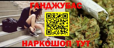 шишки Аргун