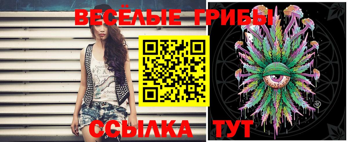 Псилоцибиновые грибы MAGIC MUSHROOMS  Торжок  купить закладку  Галлюциногенные грибы Psilocybine cubensis 