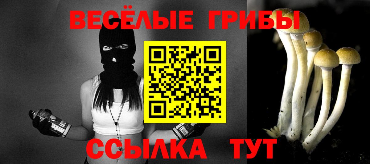 Псилоцибиновые грибы мицелий Торжок